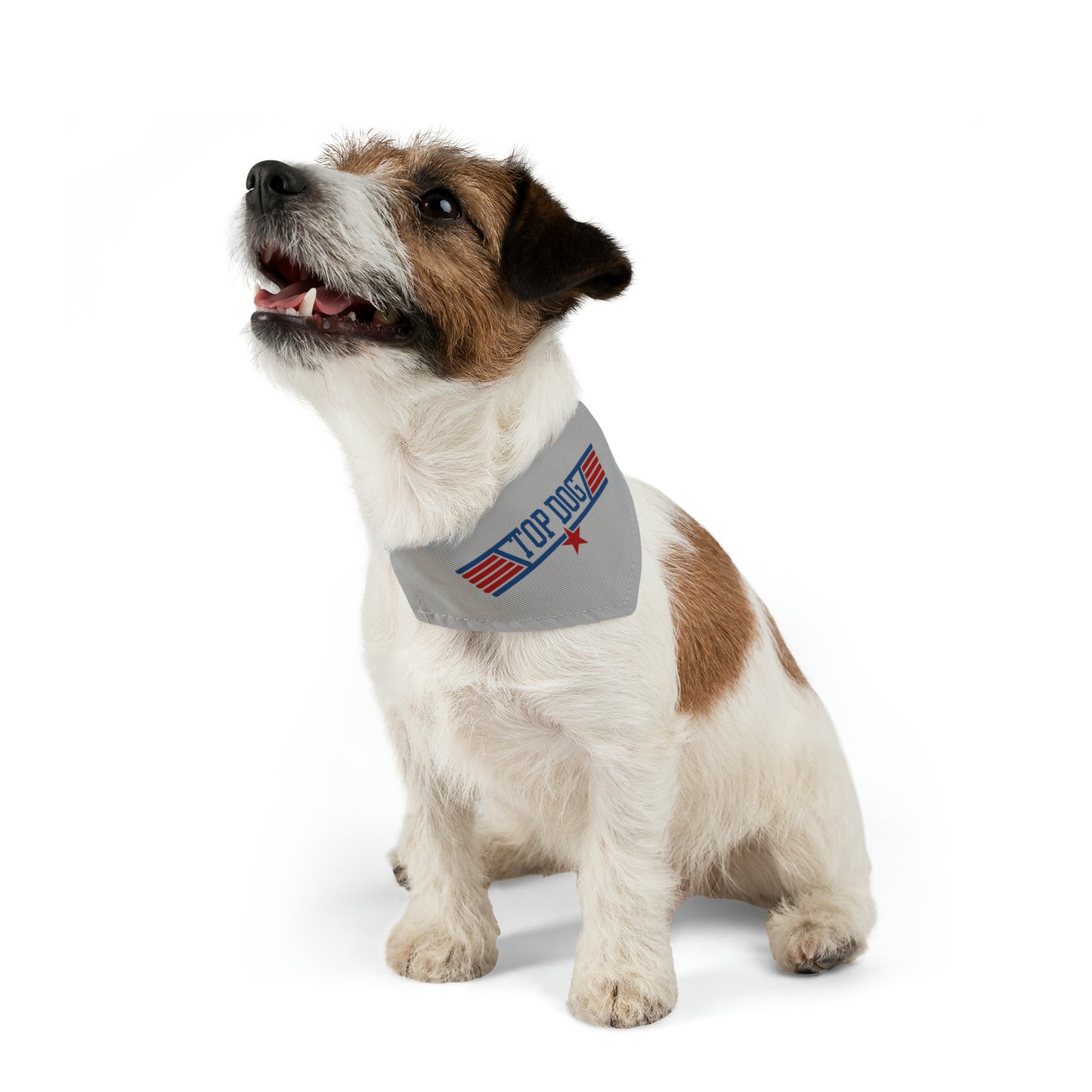 aviation merchandise, dog wearing "top dog" bandana collar in grey