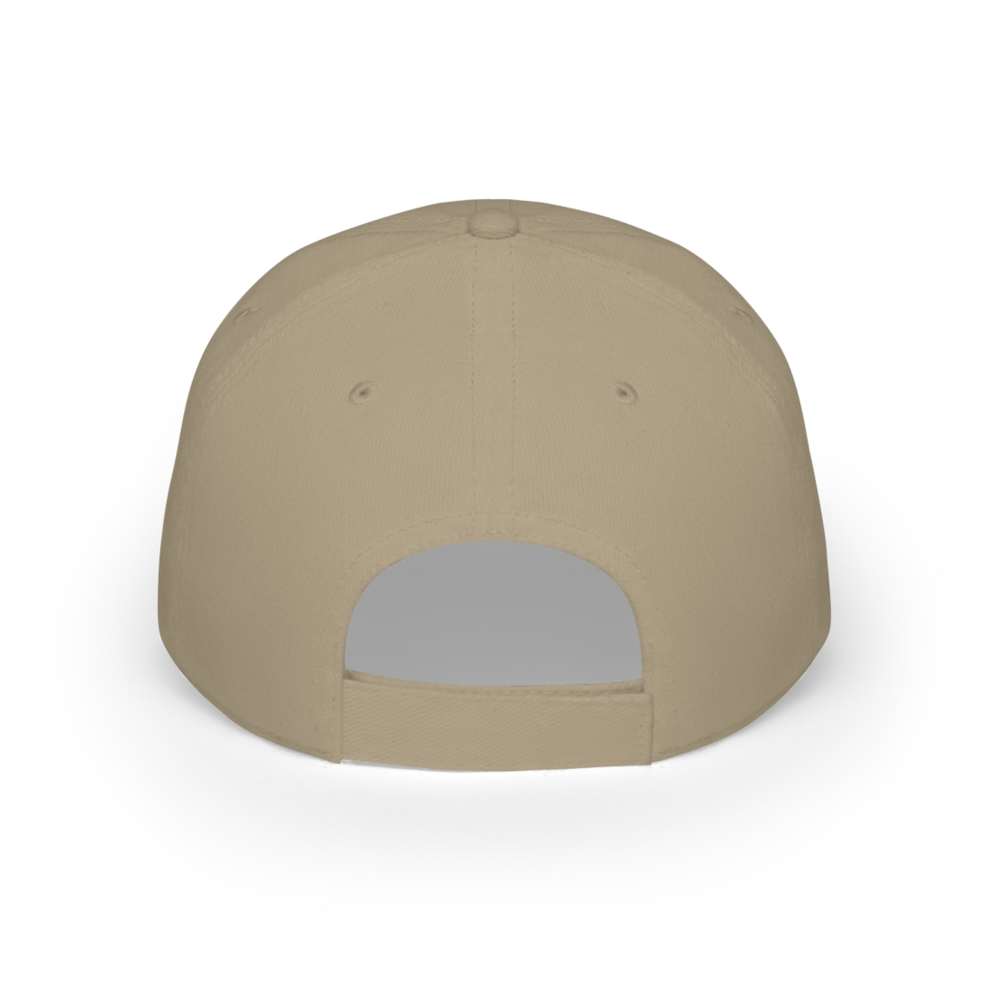 "top dad" aviation hat in khaki, back