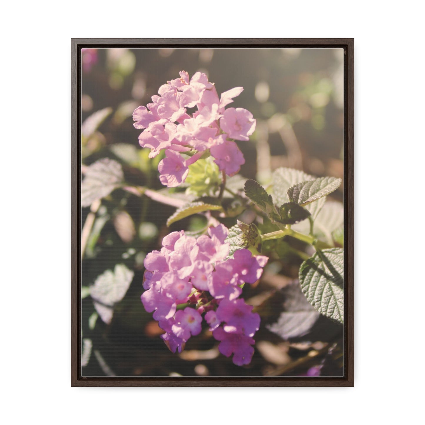 "Violet Whimsy" Gallery Wrapped Canvas, Vertical Frame