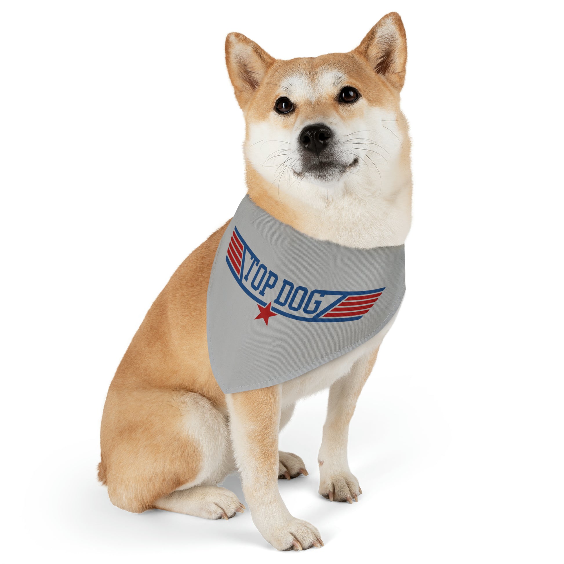aviation merchandise, dog wearing "top dog" bandana collar in grey 3
