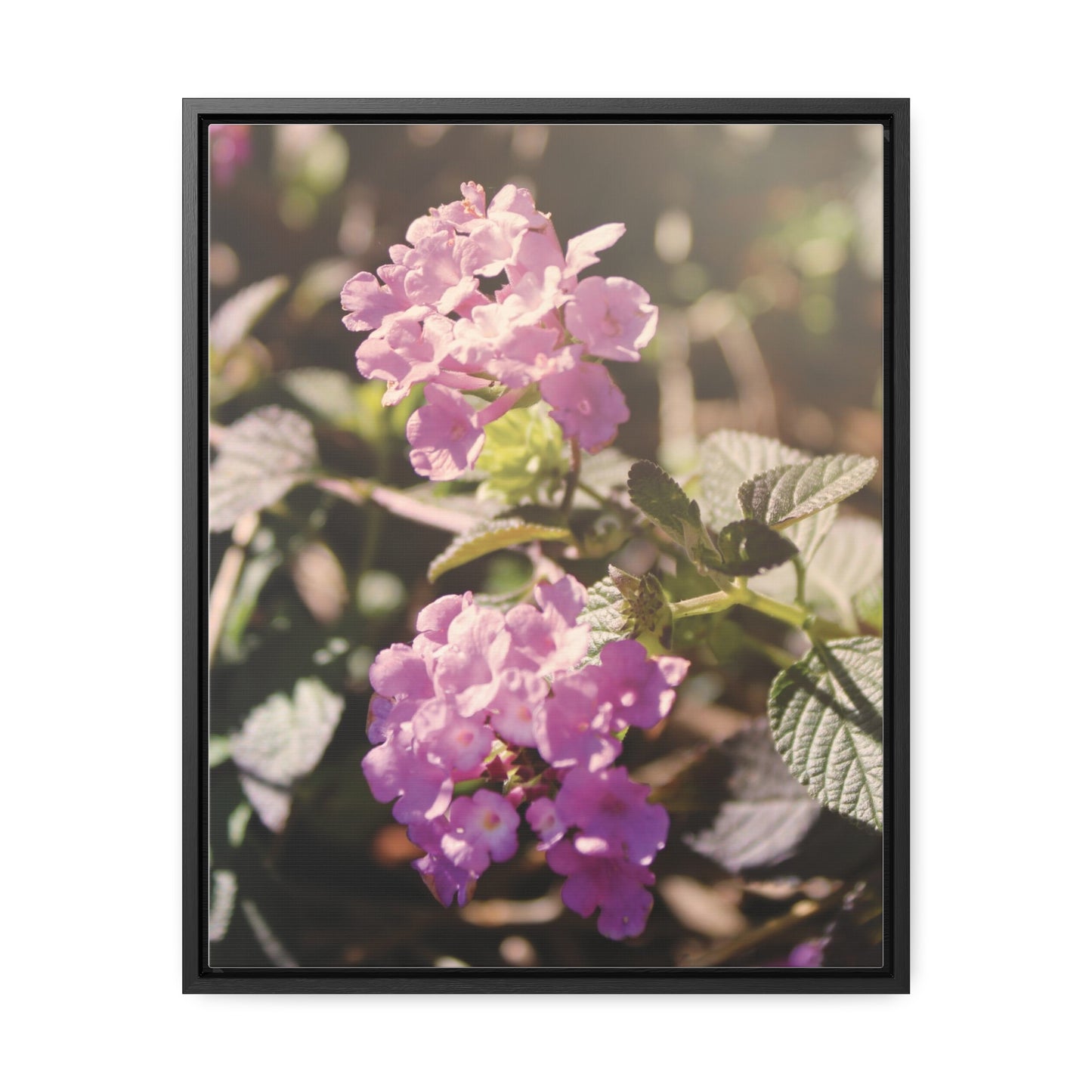 "Violet Whimsy" Gallery Wrapped Canvas, Vertical Frame