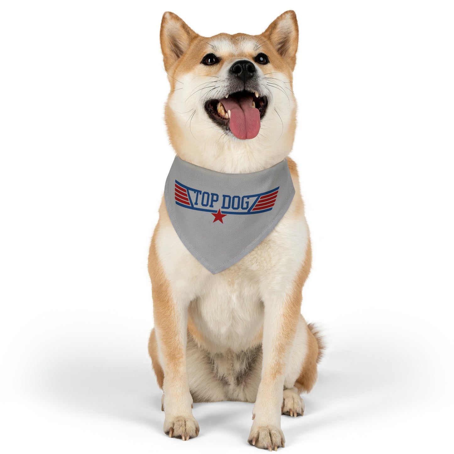 aviation merchandise, dog wearing "top dog" bandana collar in grey 1