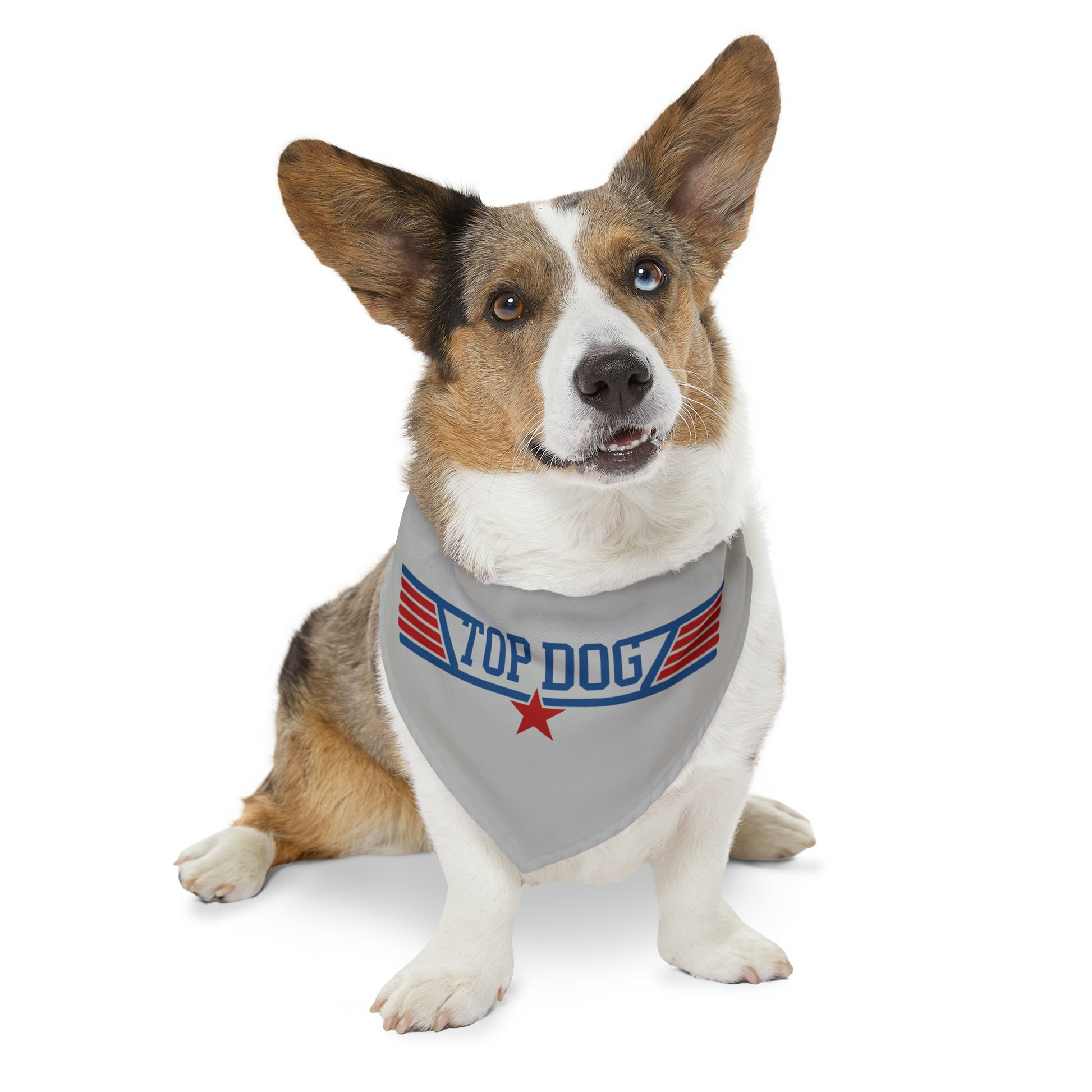 aviation merchandise, dog wearing "top dog" bandana collar in grey 2