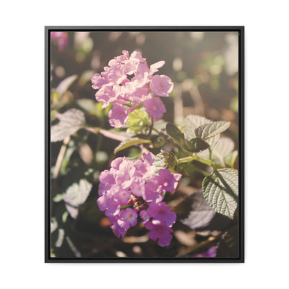 "Violet Whimsy" Gallery Wrapped Canvas, Vertical Frame