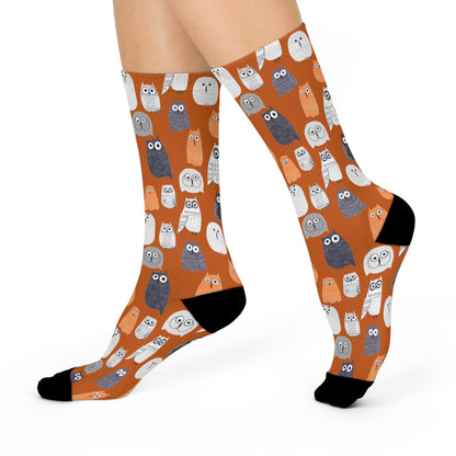 Peek-a-Boo Owls - Premium Unisex Crew Socks